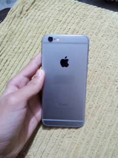 iphone 6