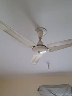 fan