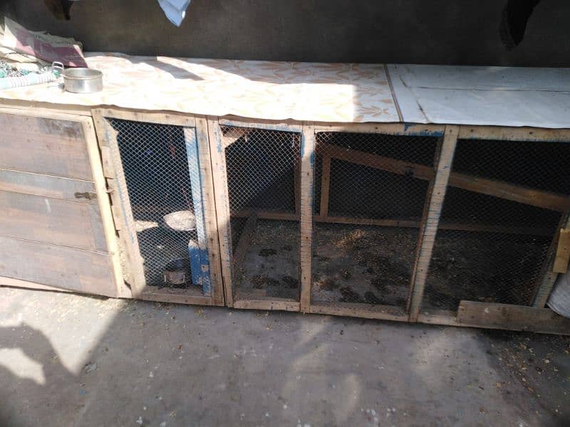 hen wooden cage 1