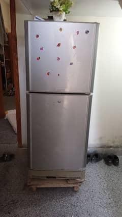 PEL Fridge