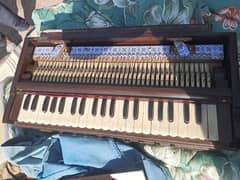 Kolkata Indian harmonium