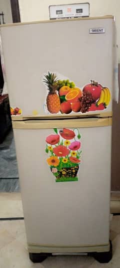 orient fridge