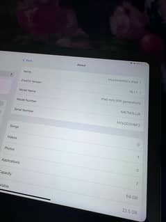 iPad mini 6