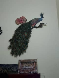 peacock wall hanging