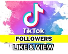 TikTok Followers, Likes & Views