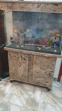 aquarium with counter