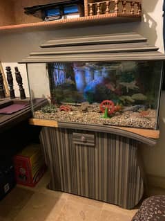 Fish Aquarium fish tank unique high quality Aquarium with accessories