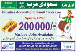 CONFIRM JOBS AND VISA