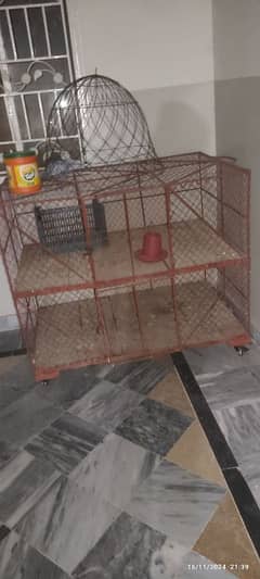 Cage for pigeons or hens