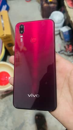 vivo