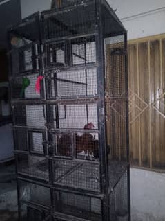 birds cage for sale