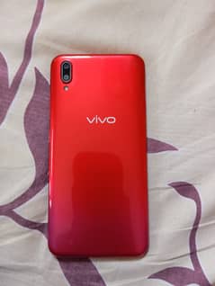 Vivo