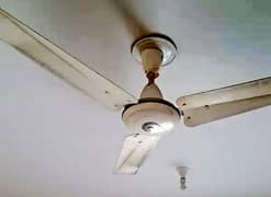 Ceiling Fans 3 Pieces