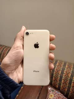 Iphone 8 (Lush condition)