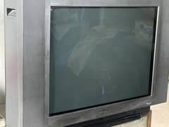 Sony Flat Screen TV