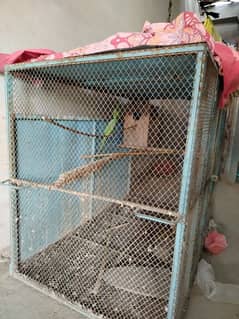 hens parrot cage for sale