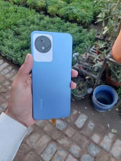 vivo y20t