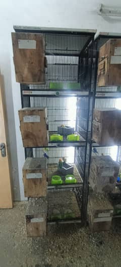 Cage |Iron cage | Pet Cage|Birds cage | 4 Portion Bird Cages