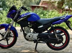 Yamaha YBR125 2019 Model