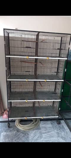 cage 8 portions size 1.5 by 2 (half half ho jaty hn portions)