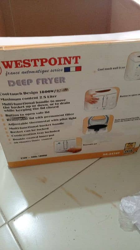 electric fryer 2