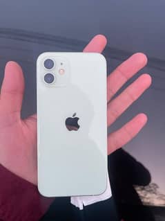 Iphone 12 64gp