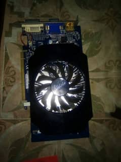 GPU