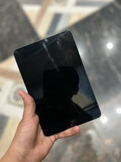 Ipad Mini 5