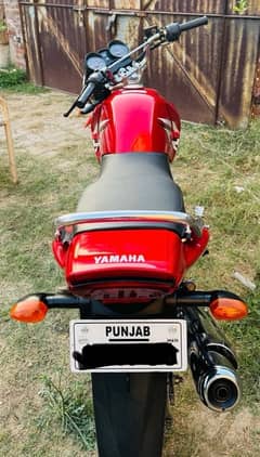 Yamaha ybr g lush condition just like 2024 model