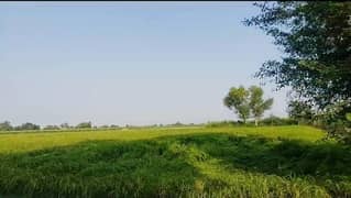 34 Acre Agriculture Land For Sale At Ryk