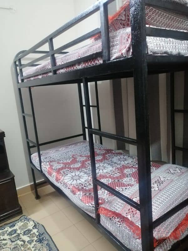 Bunk Bed in Excellent condition. . with Molty Foam in Good Condition 1