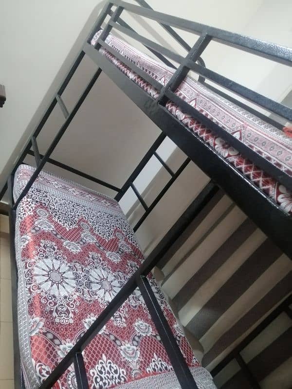 Bunk Bed in Excellent condition. . with Molty Foam in Good Condition 2