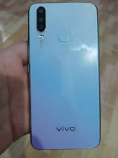 Vivo