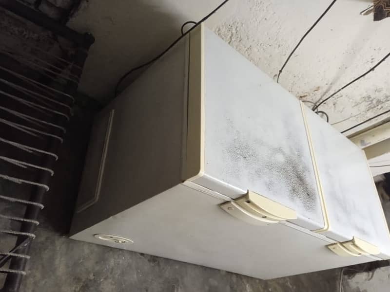 D freezer in GoOd condition (only srs buyer) 4