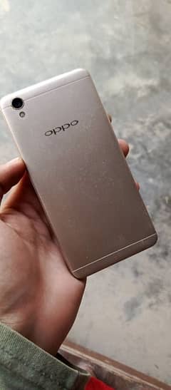 oppo