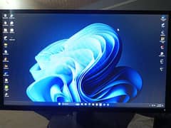 Dell P2417h fresh monitor