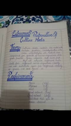 hand writing assignment