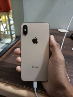 IPhoneXS