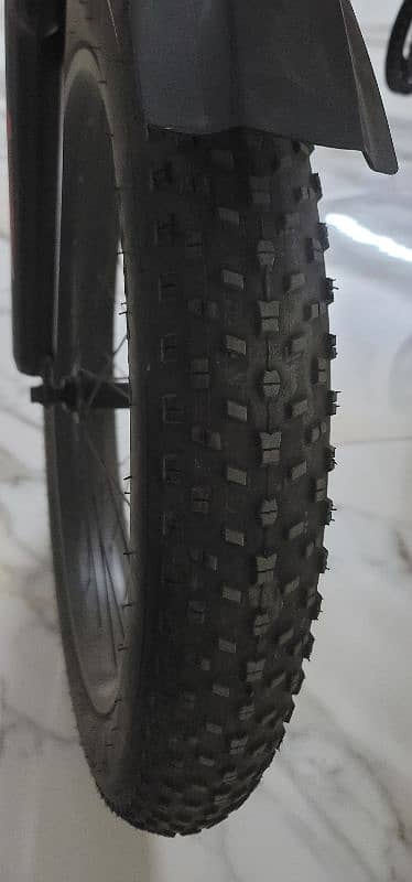 Fat Bike 2024 Model 26 inch Caspian 900 model 6