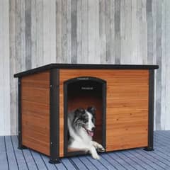 dog house , cat house , animal shelter , animal homes , birds cages ,