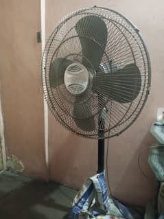 Royal Pedestal Fan 24"