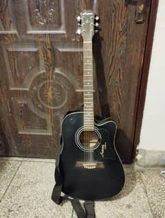 guitar in best condition professional guitar with bag and stand