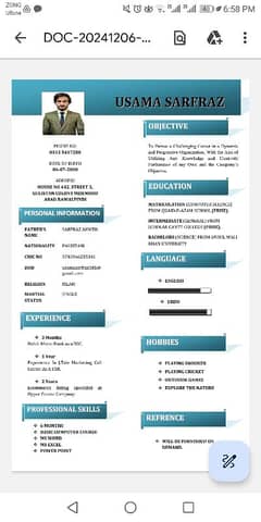 Professional CV in just 120 rupees