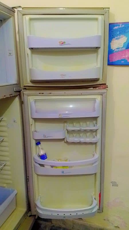 PEL Refrigreter 6