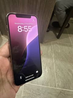 iphone 12 pro max pta approved