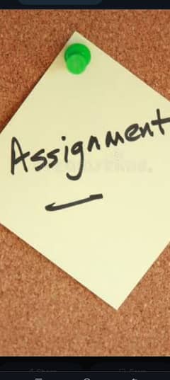 I will do your assignment and writing job.