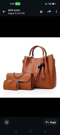 ladies bag