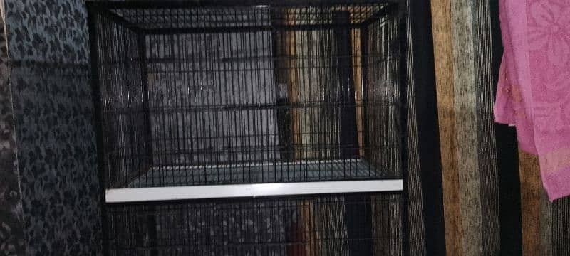 birds cage 1