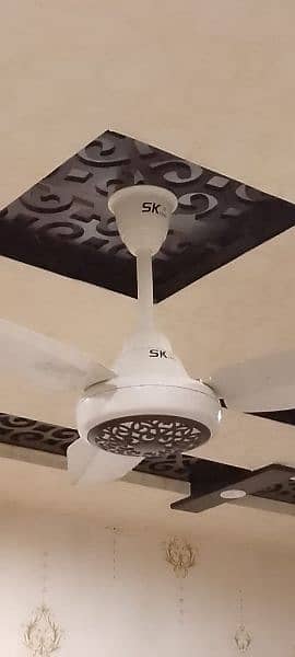 SK fan 5