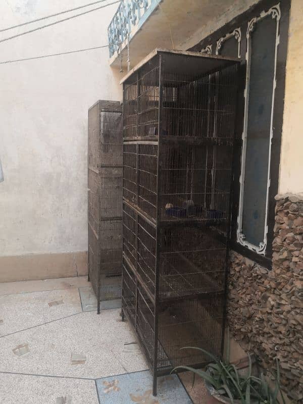 2 birds cages for sale 20000 final final final 0